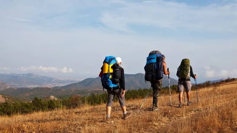 عدم برگزاری تمرین هفتگی