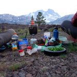 ﺍﺻﻮﻝ ﺗﻐﺬﻳﻪ ﺩﺭ ﻛﻮﻫﺴﺘﺎﻥ